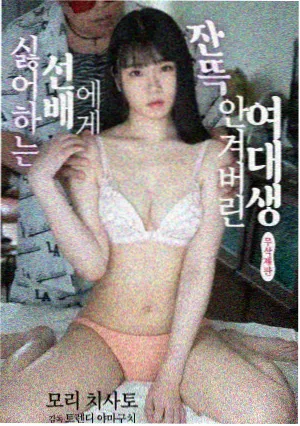 云上人家电视剧条目封面